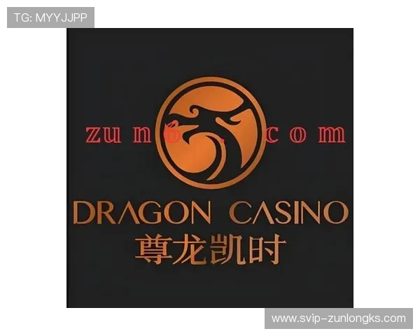 尊龙app电脑版最新版本下载，享受流畅娱乐体验与优质服务